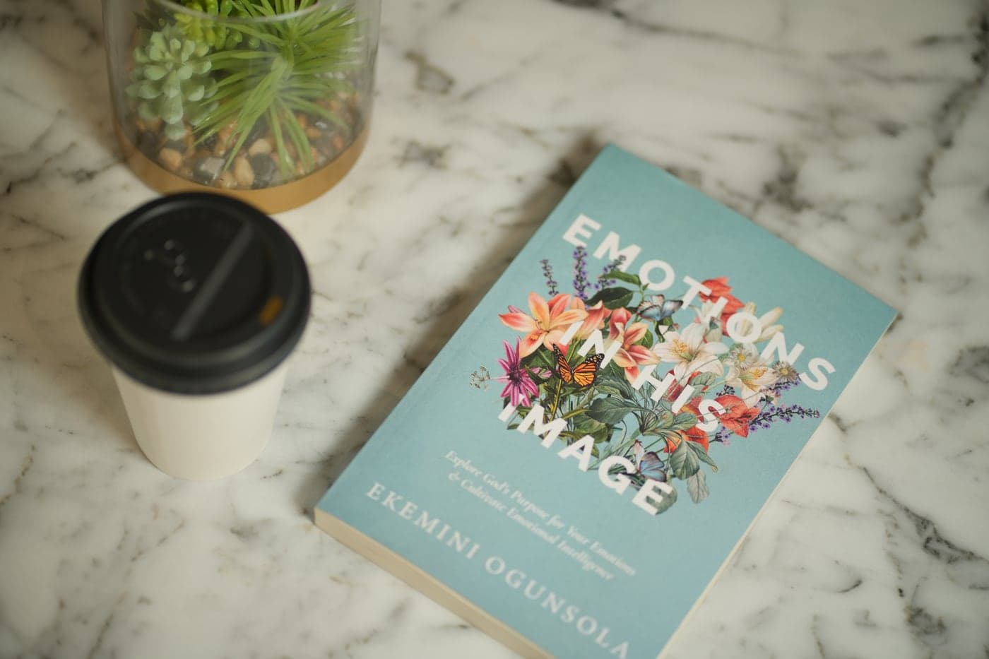 Emotions in His Image by Ekemini Ogunsola